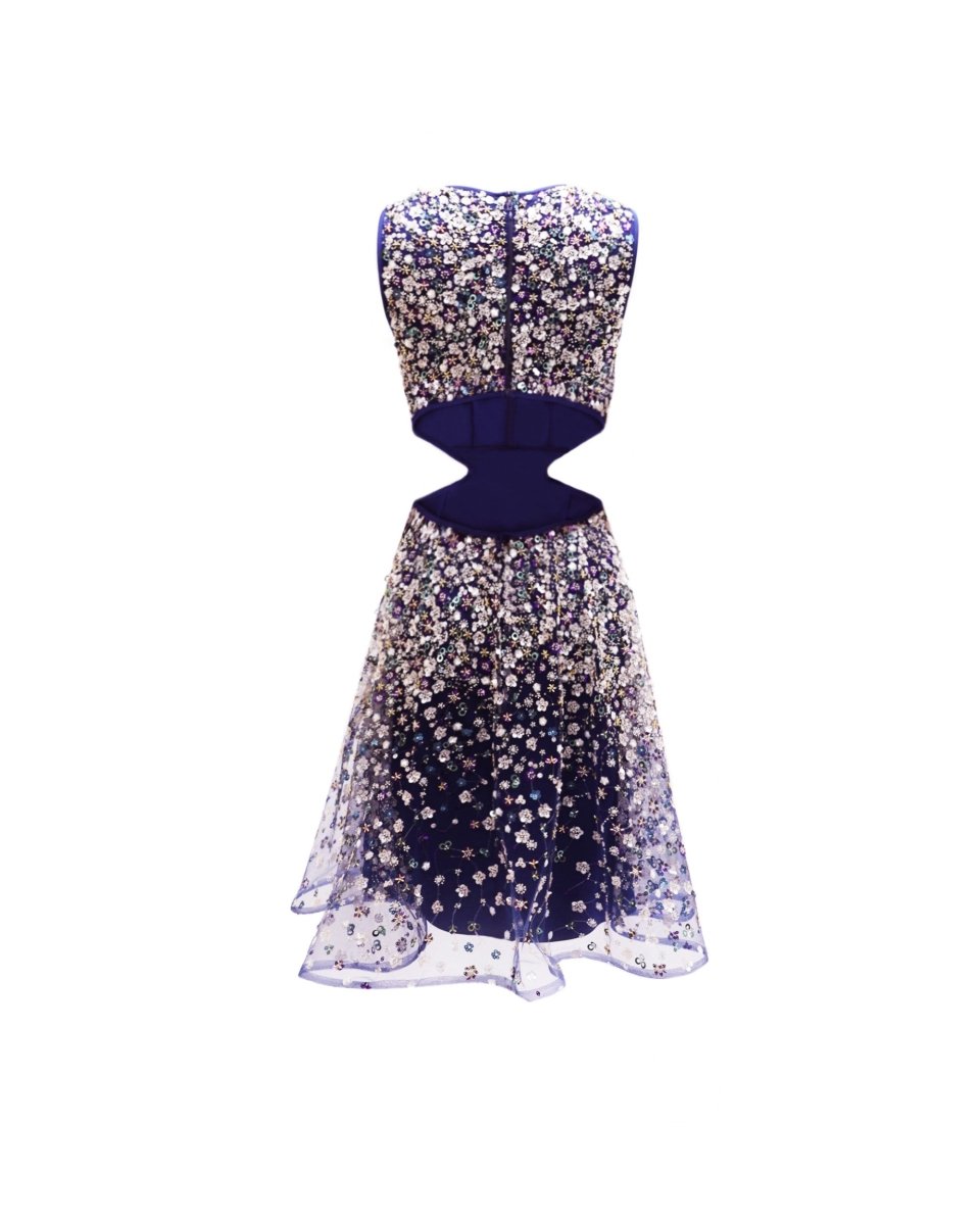 Side and Back Cut-Out Dress